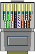 EIA 568 A Plug